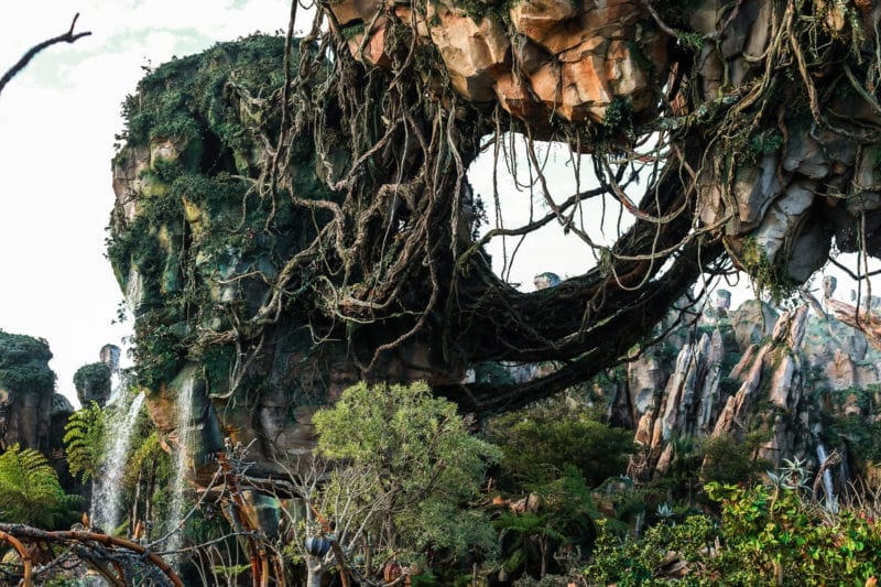 Helena Woods Travel Guide to Walt Disney World Animal Kingdom Tiffins Restaurant Pandora Lion King Show 2018 Dining, Shows, Attractions for Adults Couples Pandora Avatar