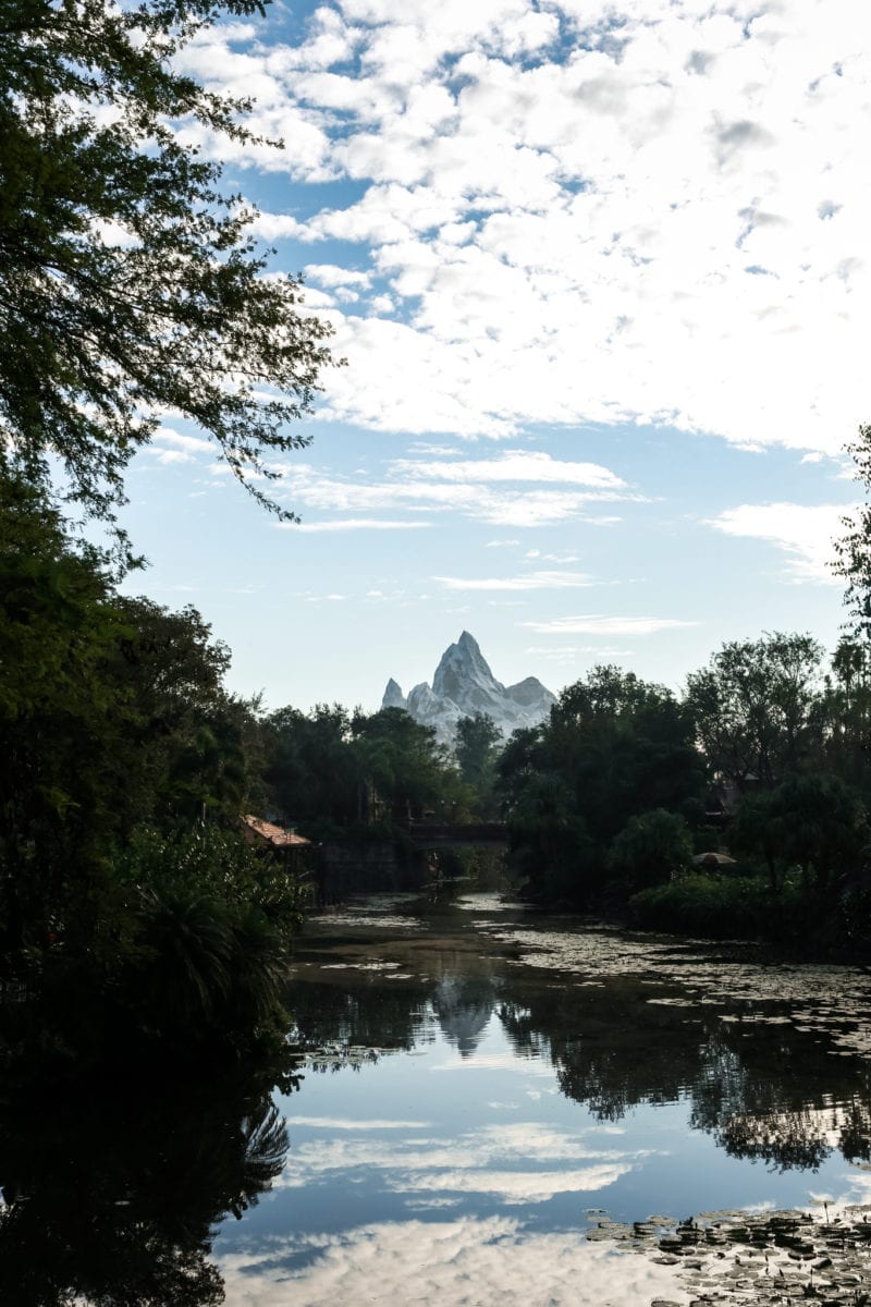 Expedition Everest Travel Guide to Walt Disney World Animal Kingdom Tiffins Restaurant Pandora Lion King Show 2018 Dining, Shows, Attractions for Adults Couples