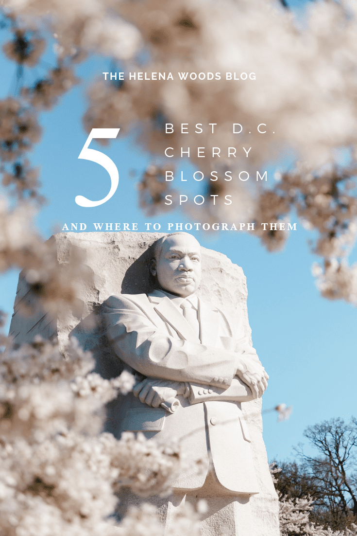 5 Best Spots to Photograph the Washington D.C. cherry blossoms in the spring 
