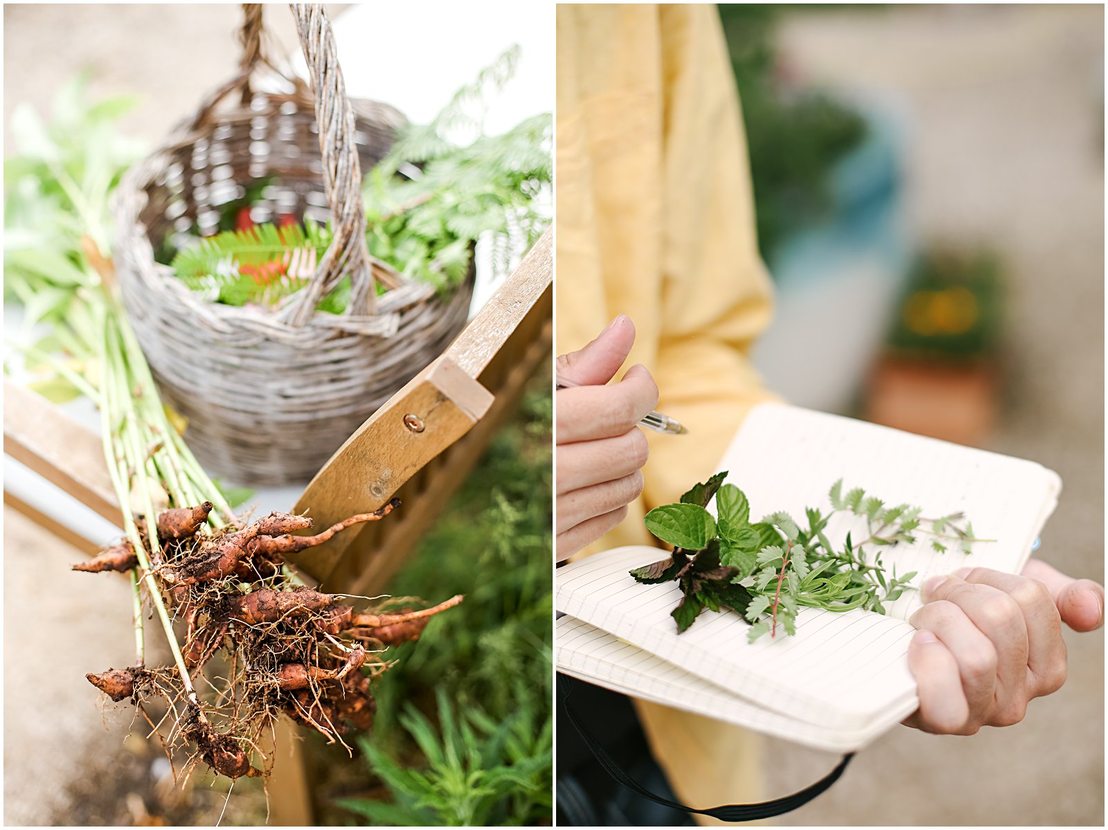 Local herbs and plants at a vegetarian cooking class in Rome