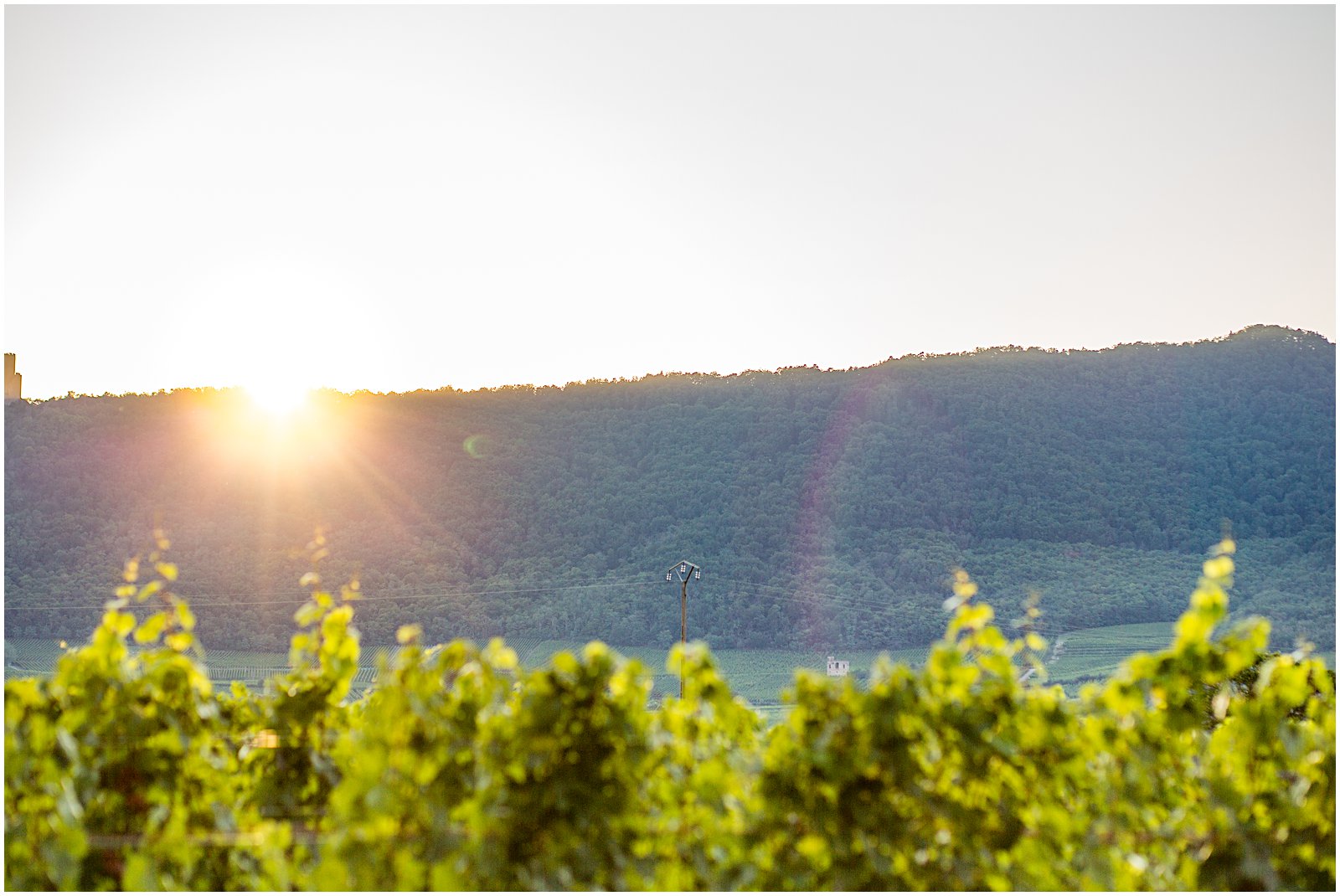 Helena Woods photographs Sunset in Alsace France vineyards and mountains