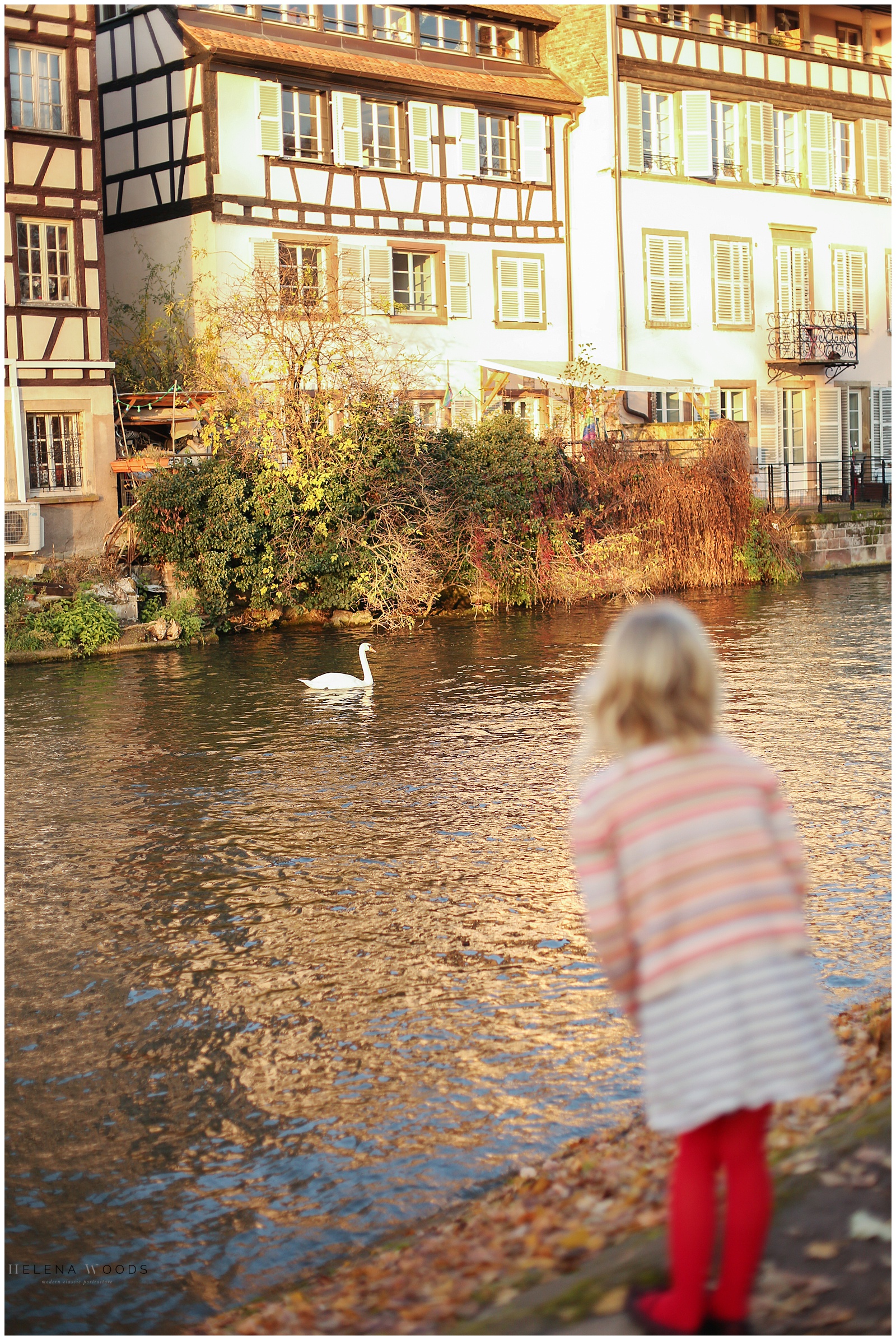 girl looking at swan in Petite France in Strasbourg France